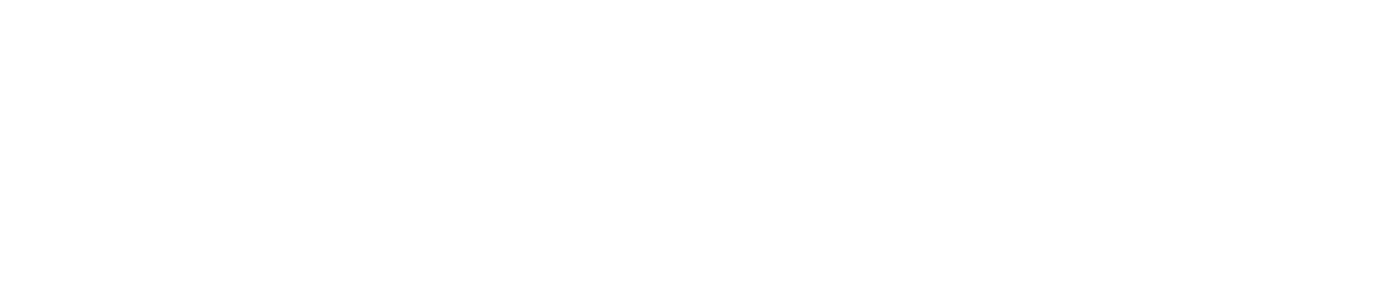 COSMOS Dieter Schwarz Stiftung